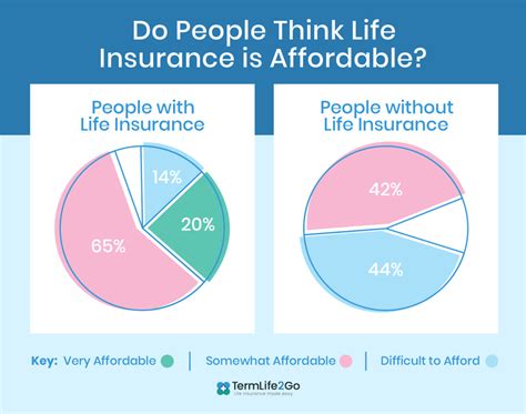 affordable term life insurance options